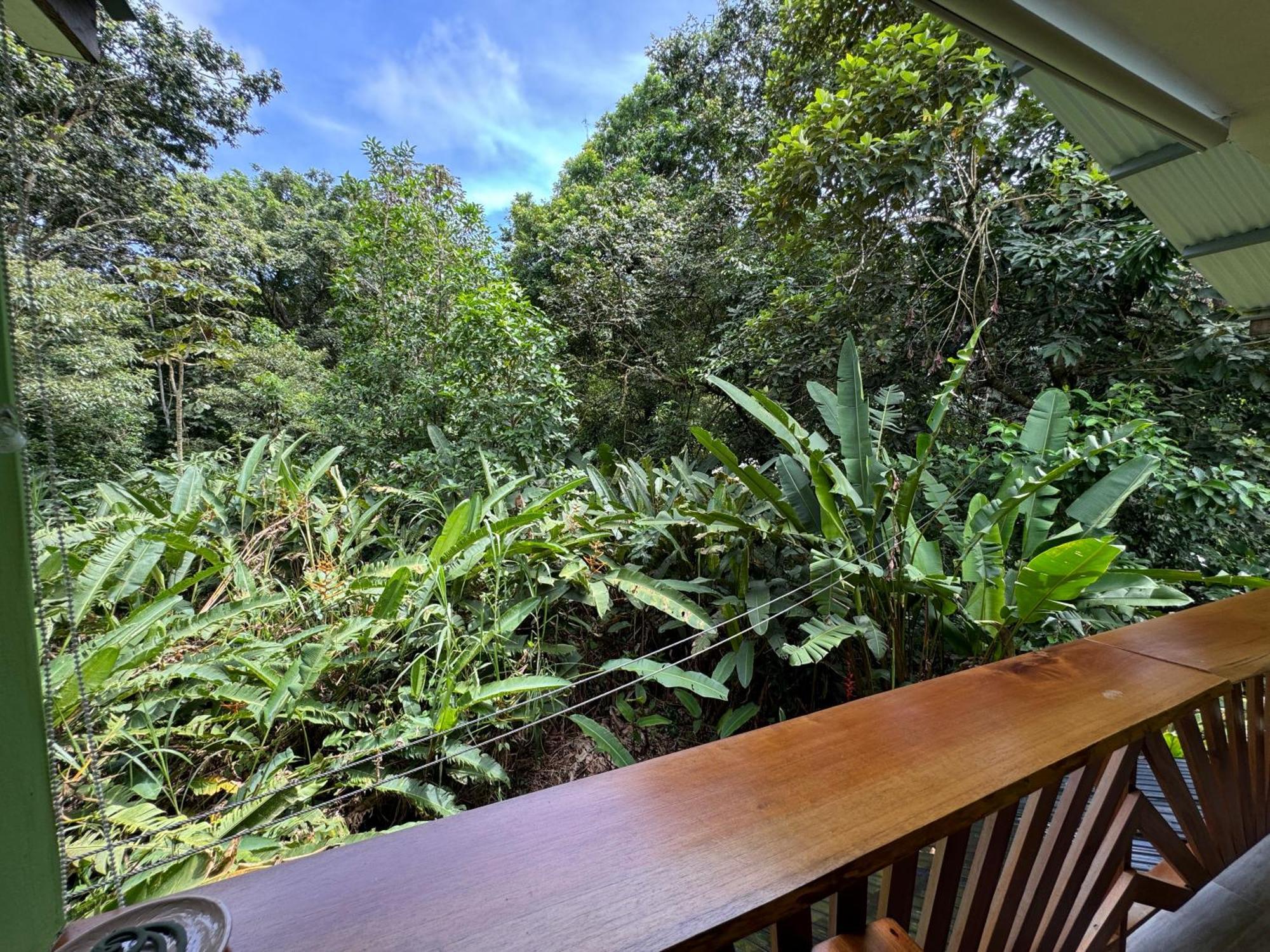 Chilamate Room Tortuguero Zewnętrze zdjęcie